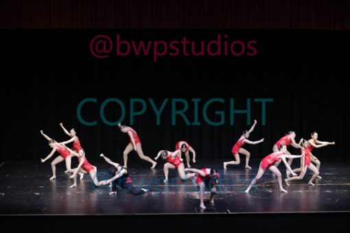 S2D 15 Contemp
