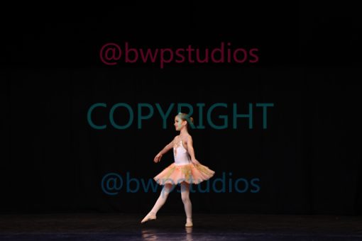 K09 0243