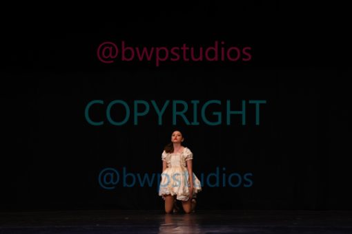 K12 8252